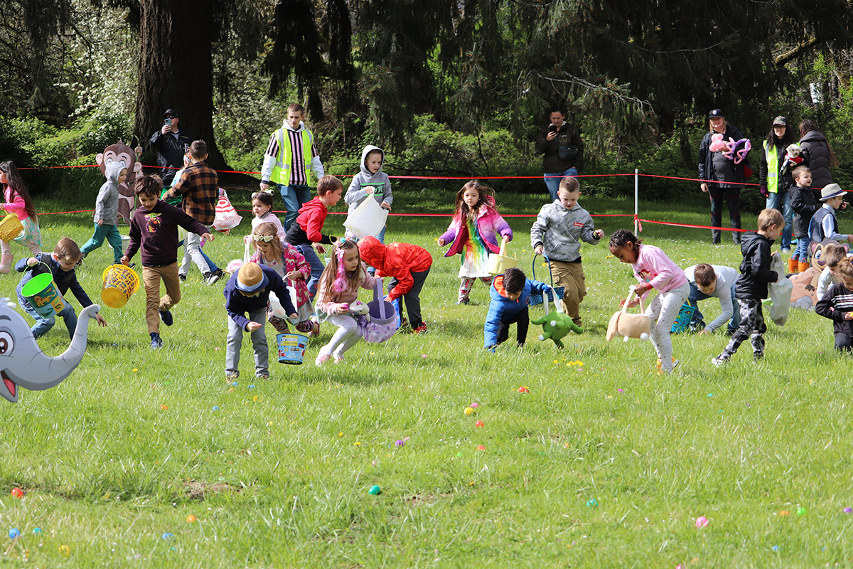 Kids search for plastic eggs in a competitive egg hunt