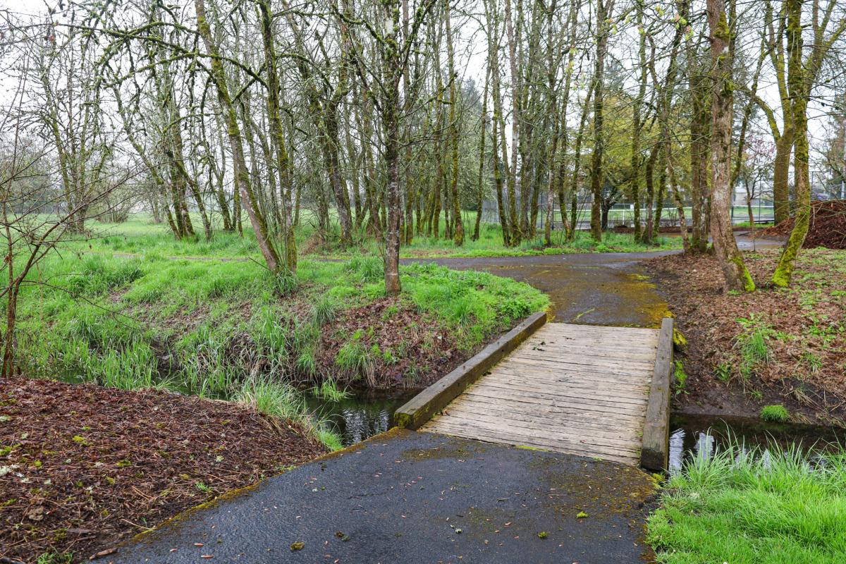 A paved path meets a footbridge to cross into a tall wooded area of a park in the winter