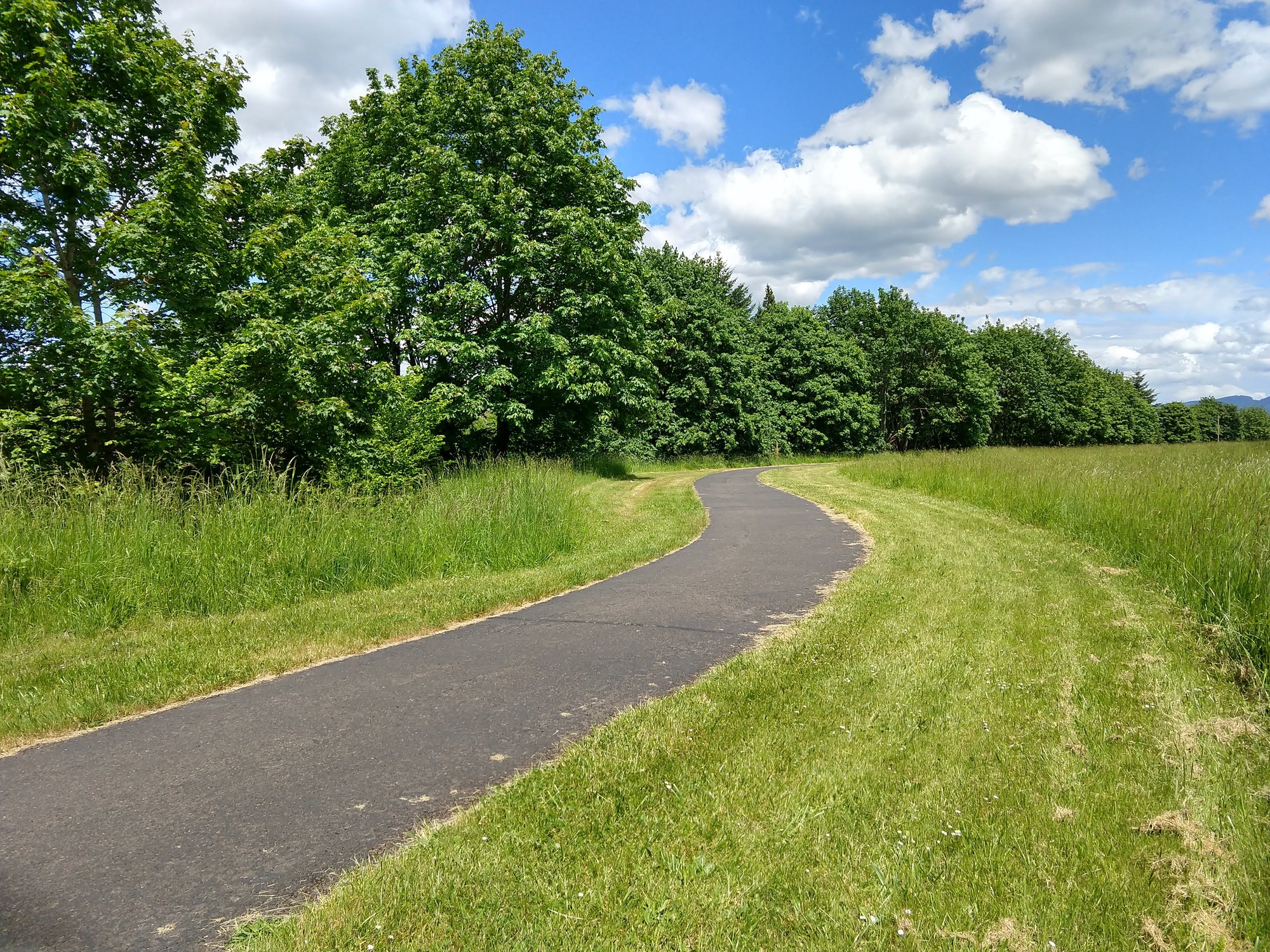 By-Gully paved path in summer