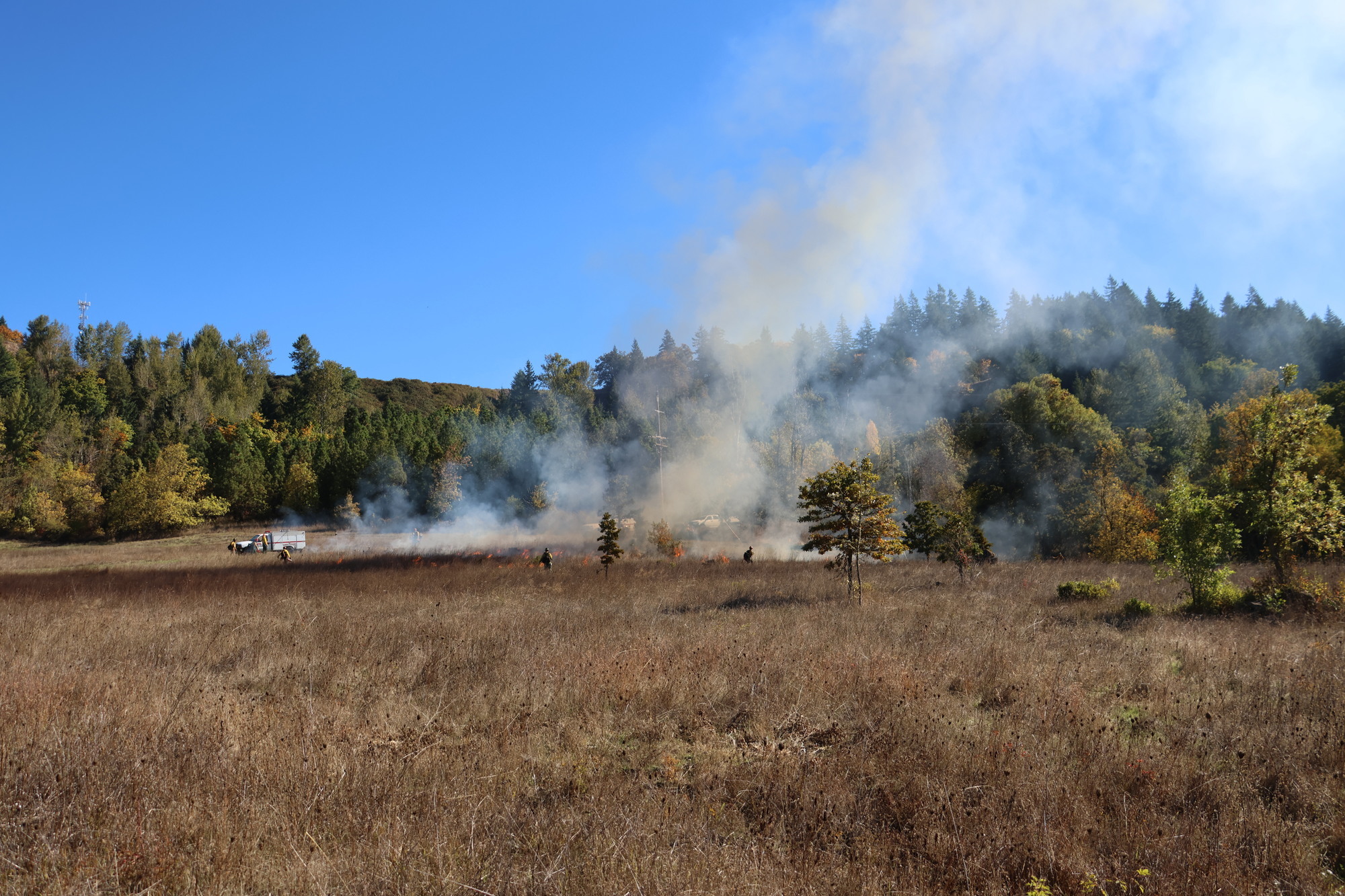 ecological burn at Dorris Ranch 2023