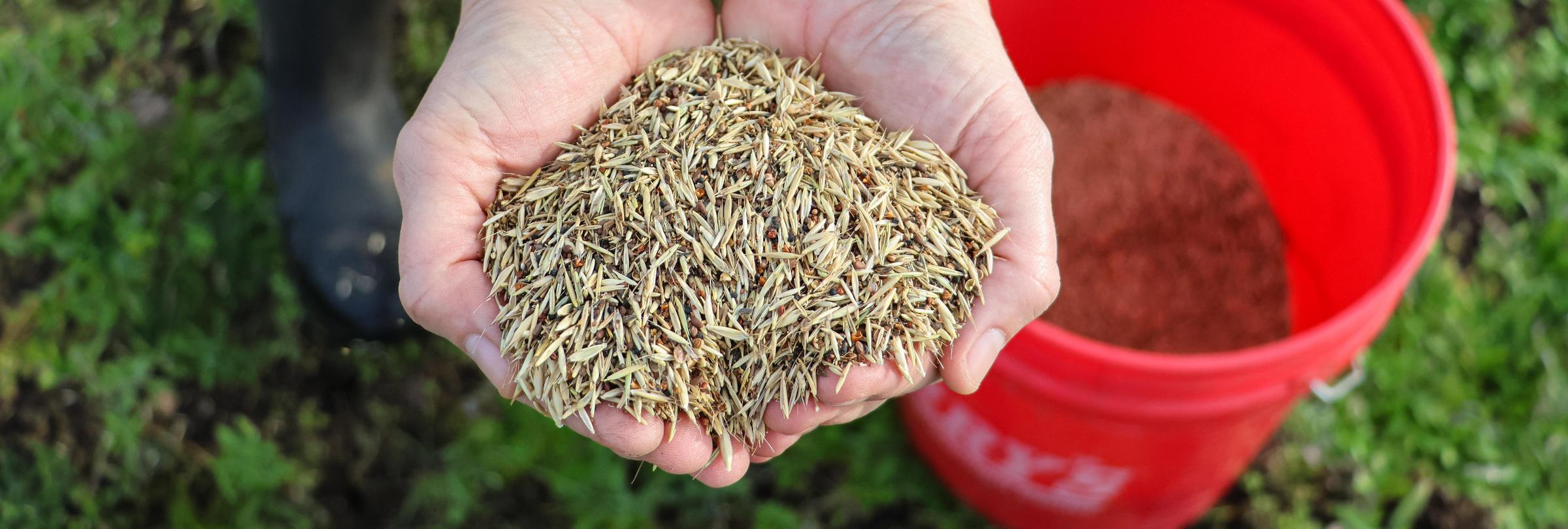 Person holds large handful of seeds