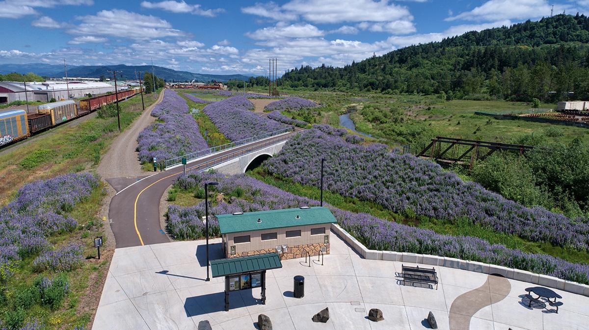 Overhead view of flowers blooming alongside Mill Race Path, showcasing Booth Kelly Trailhead
