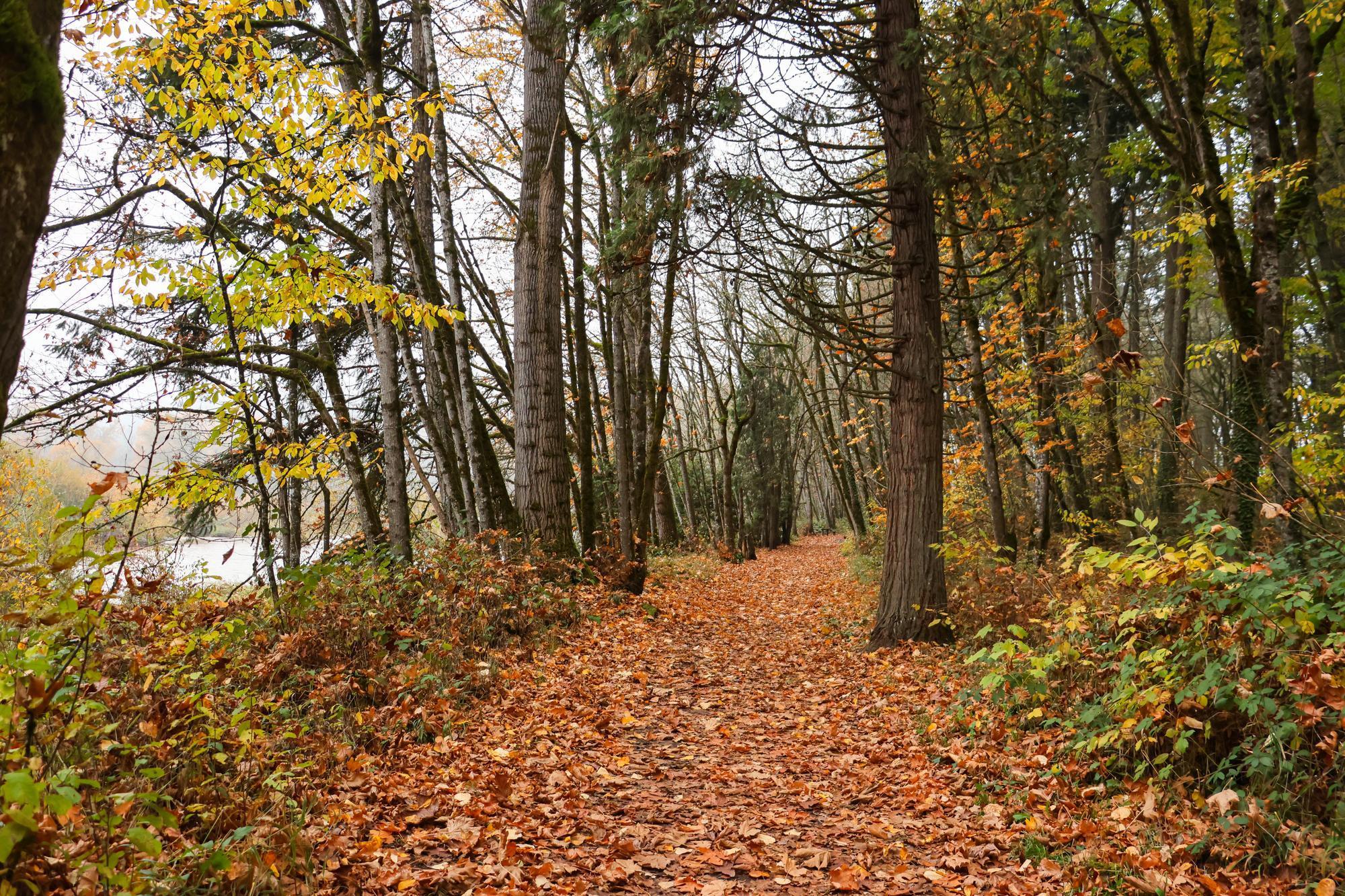 fall colors at dorris ranch