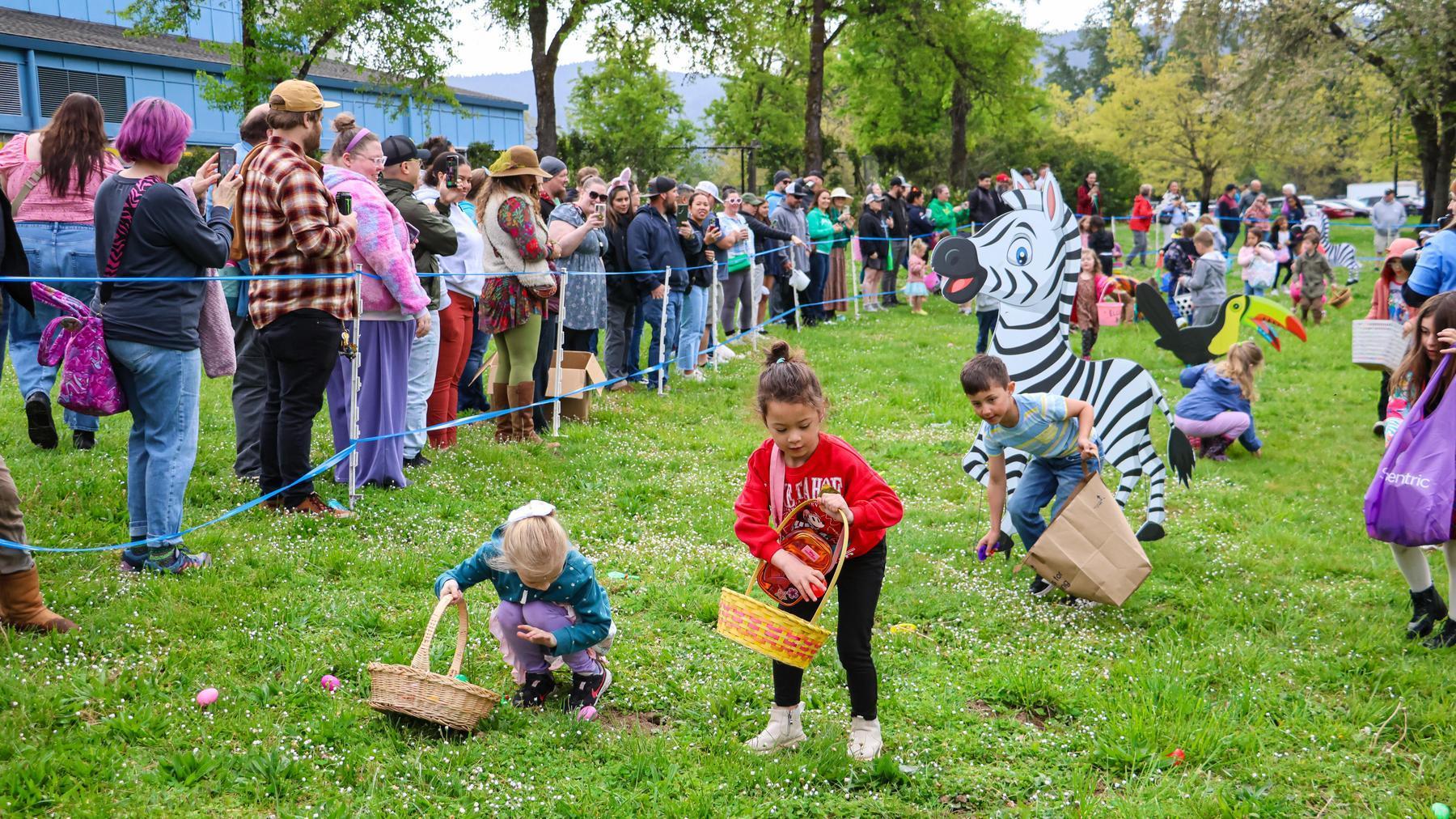 Kids find eggs hidden in the grass in a large group hunt