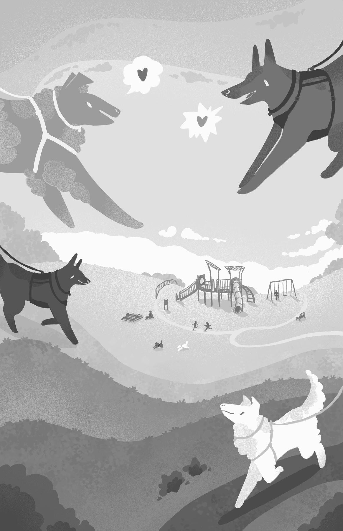 Illustration of dogs on leash on hills around a distant playground in the center