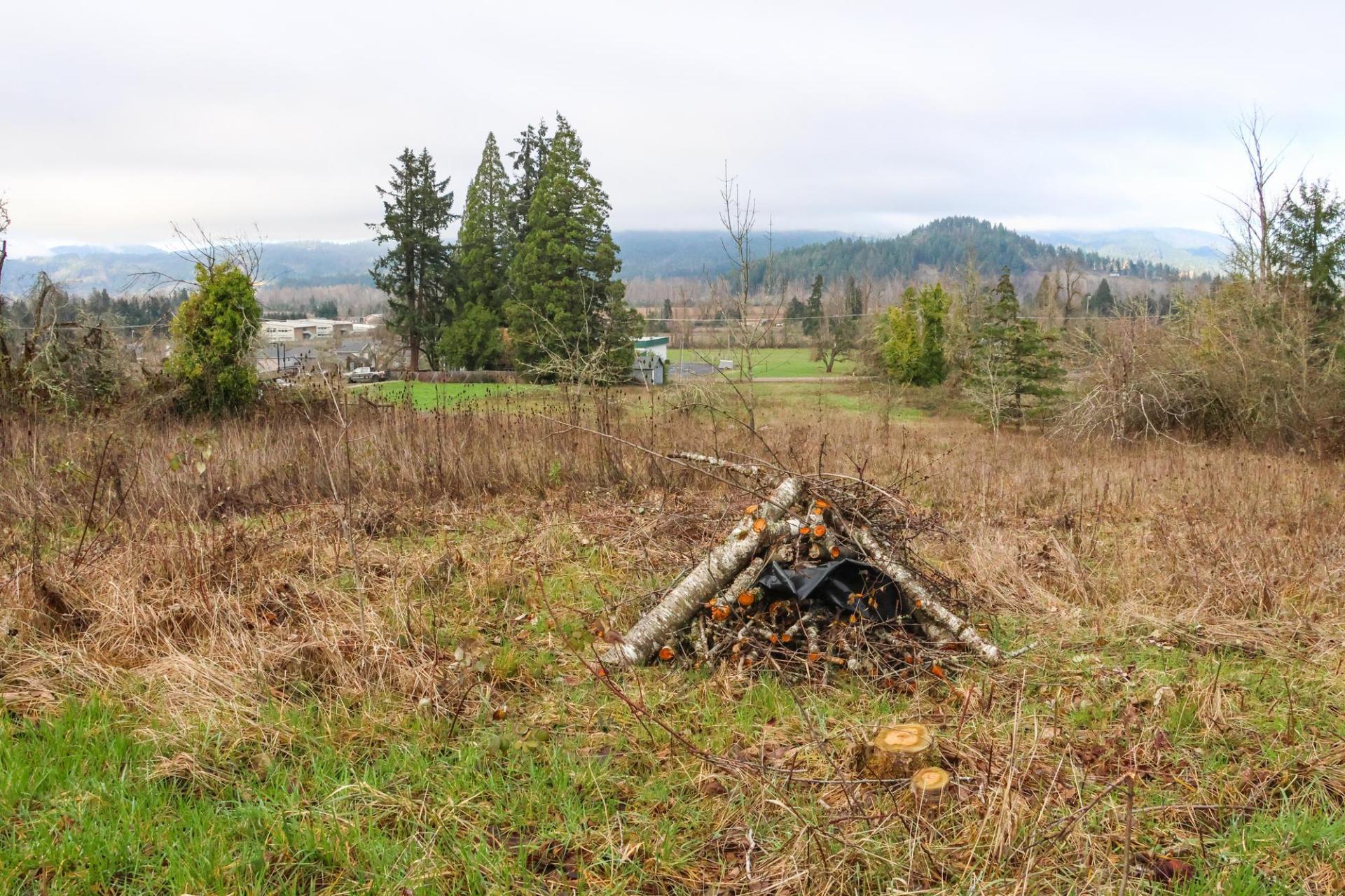 Burn piles at Thurston Hills