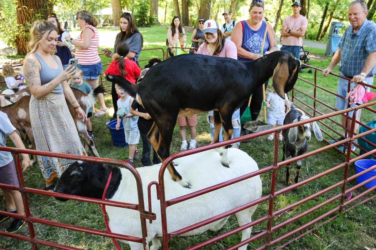 Animal petting zoo at Children's Celebration