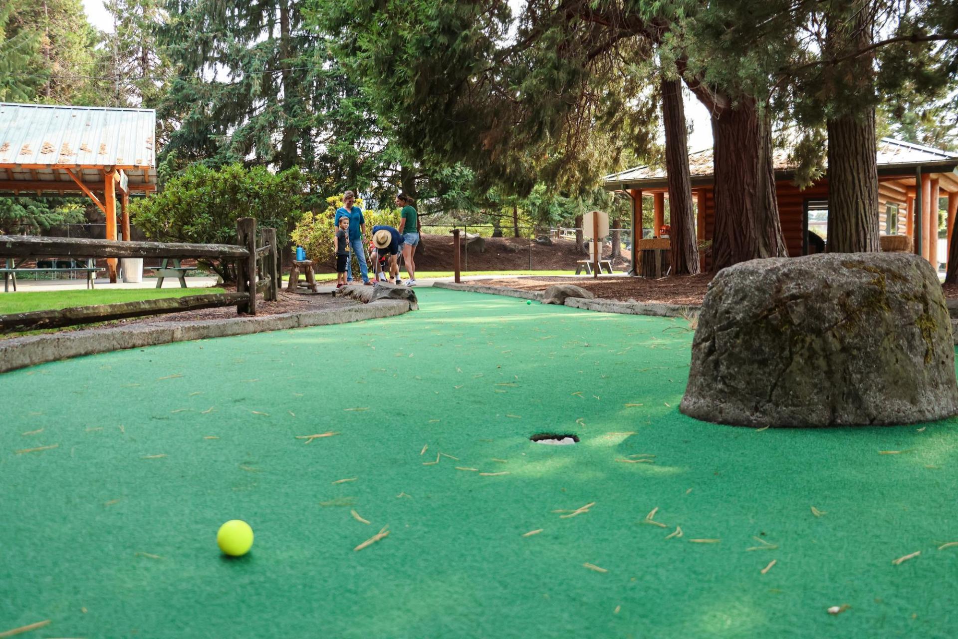 Camp Putt hole