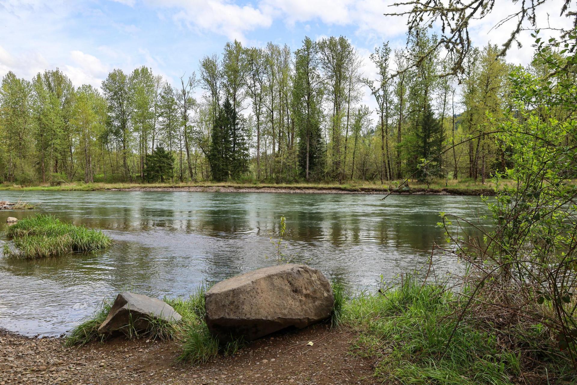 View of the river