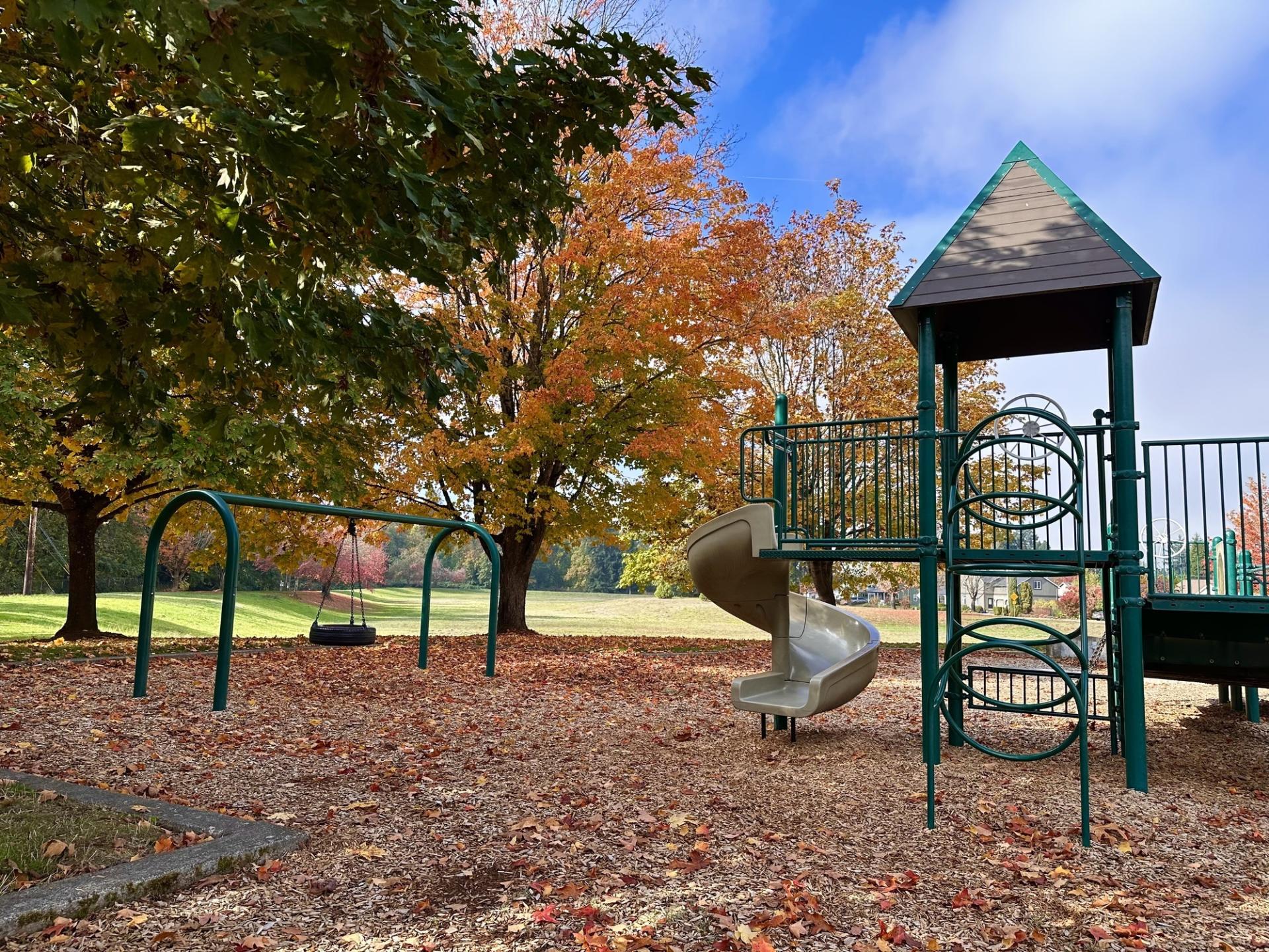 playground surrounded by fall foliage