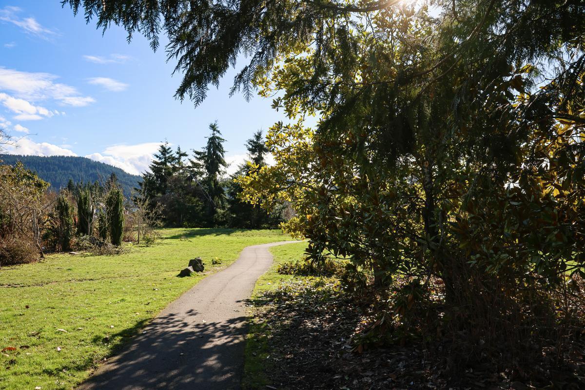 A path through a grassy fields with trees alongside.