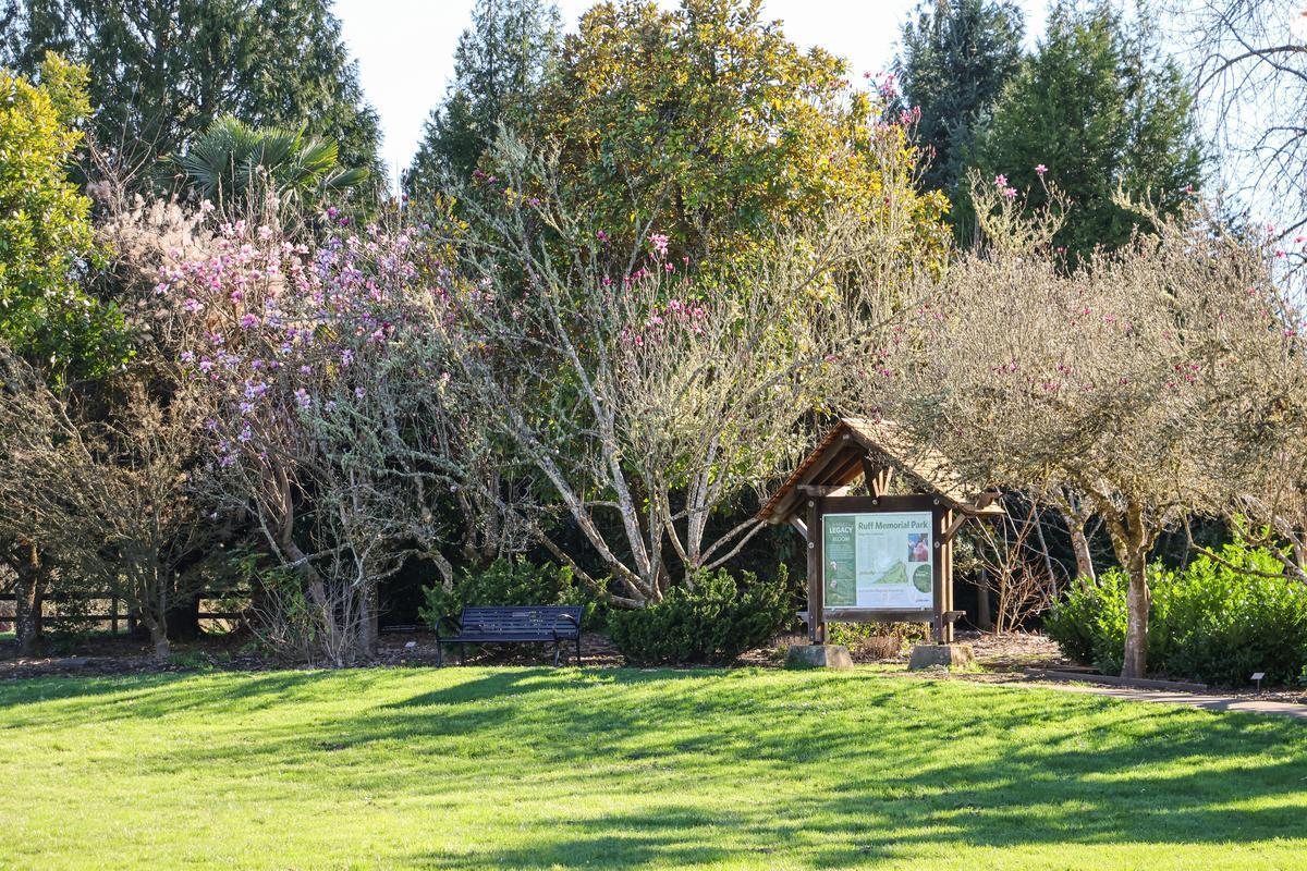 A grassy field with a variety of trees and bushes standing alongside a wooden kiosk.