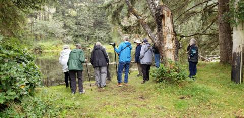 A group of adults using binoculars to find birds in front of a lush green riverbank.