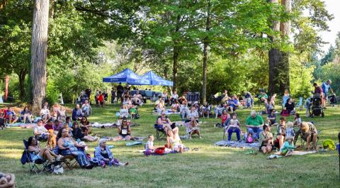 a group of people sit on green grass watching a concert in the park.